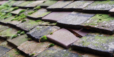 Hockliffe roof repair costs